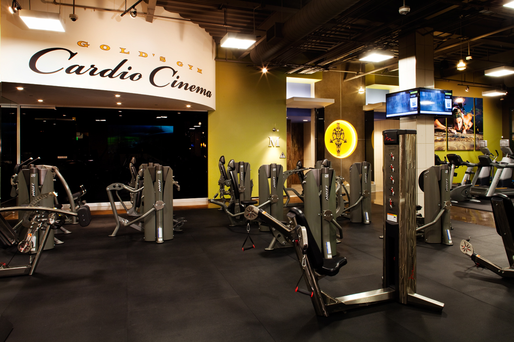 Gold's Gym